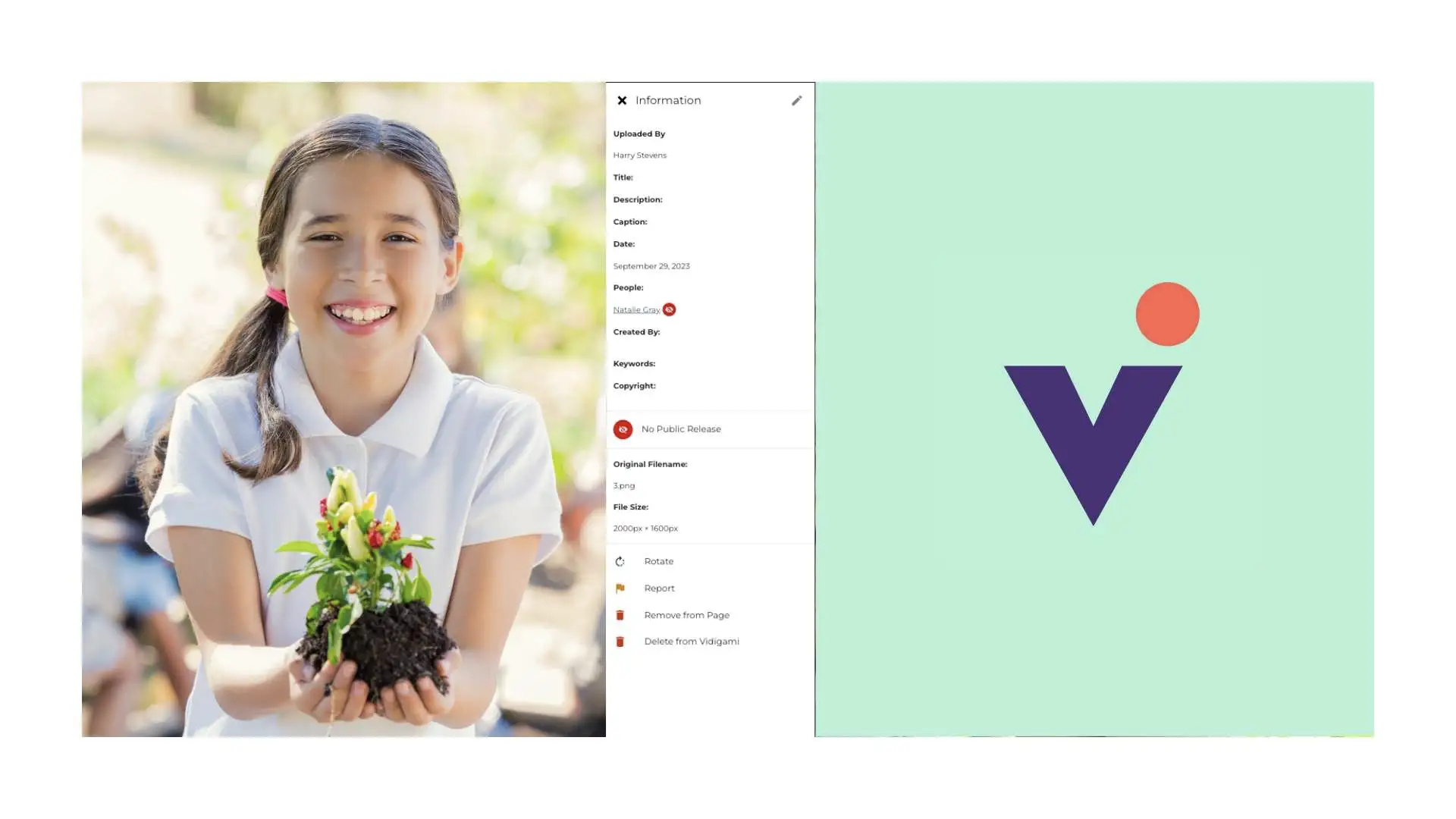 Howv How Is Vidigami Different from Google Drive and SmugMug? - Vidigami